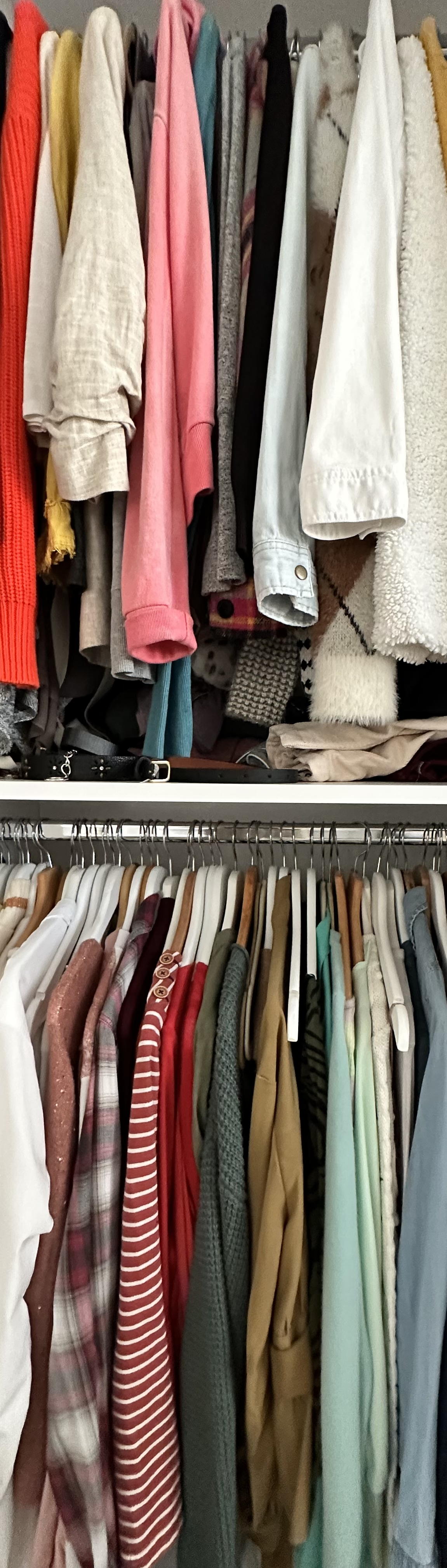 Shopping:Groceries Clothing, DIY