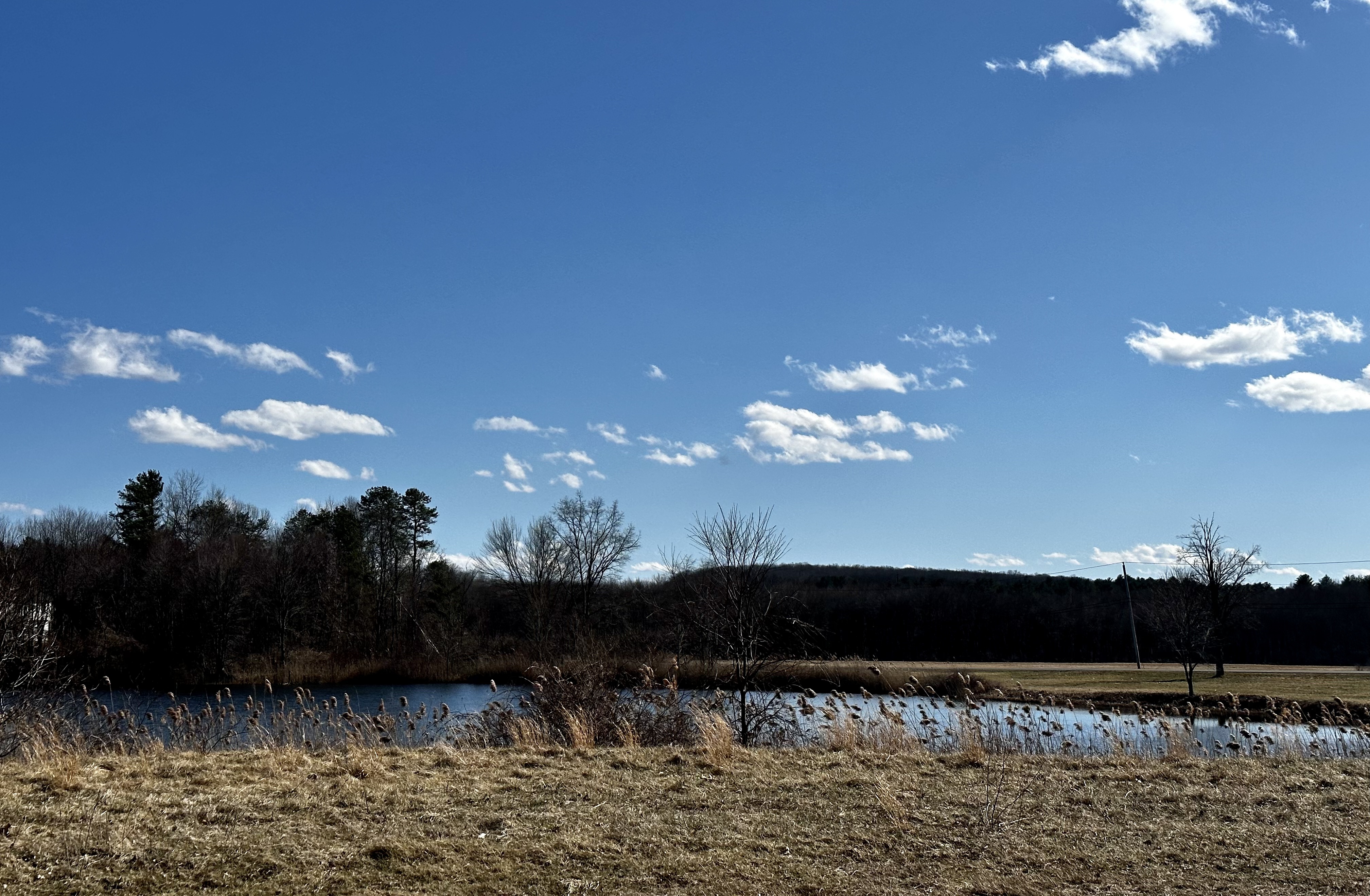 A Yummy Brunch and a Sunshiny Walk on a Sunday Afternoon…